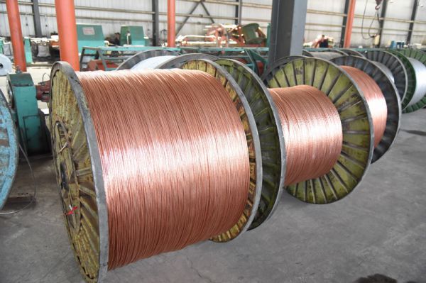 1463202618781026.jpg DSC_1145_調(diào)整大小.JPG