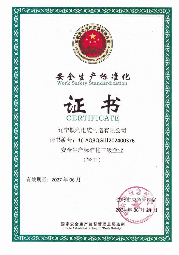 1743644298982838.jpg 安全生產(chǎn)標(biāo)準(zhǔn)化.jpg